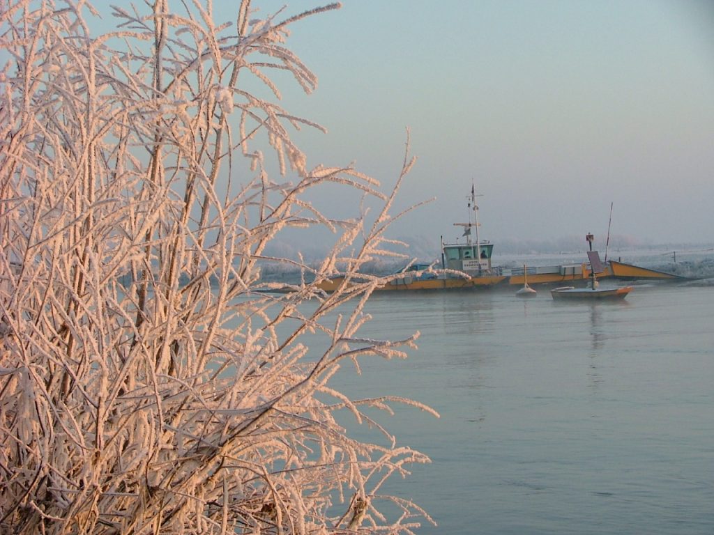 22 december 2007. Terwijl iedereen nog slaapt is de natuur langs de IJssel adembenemend mooi. Strenge vorst heeft voor een prachtige rijpafzetting gezorgd.
